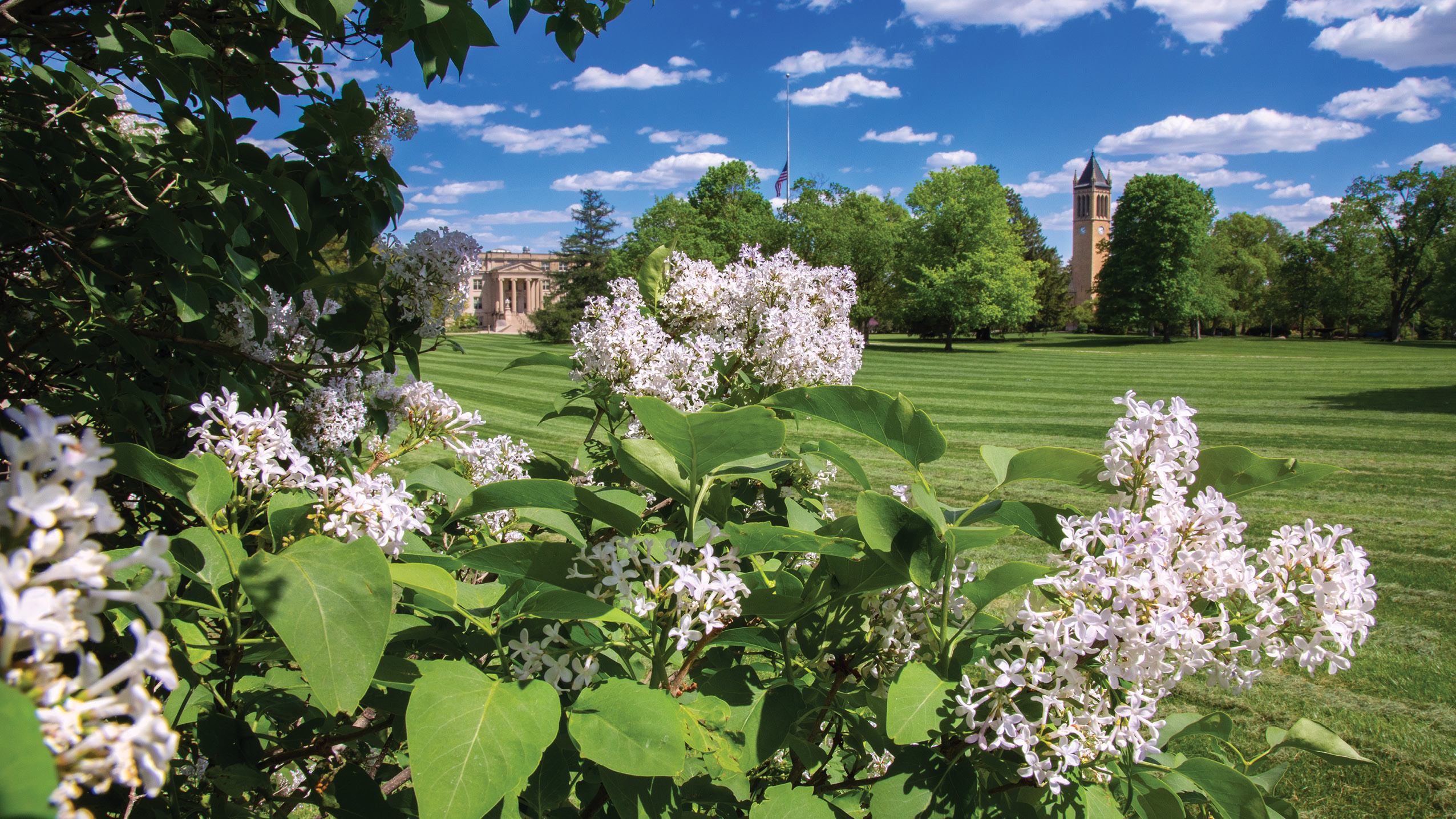 postcard-from-campus-summer-2023-iowa-stater